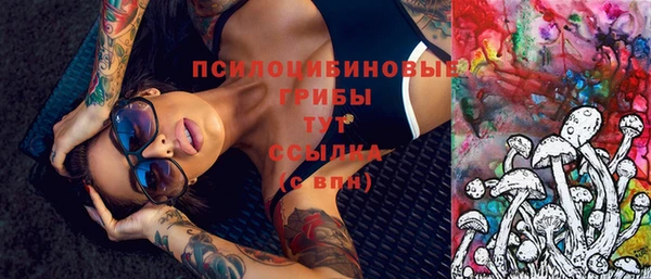 твердый Надым