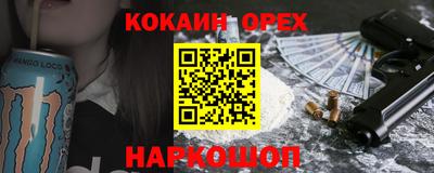 дмт Аргун