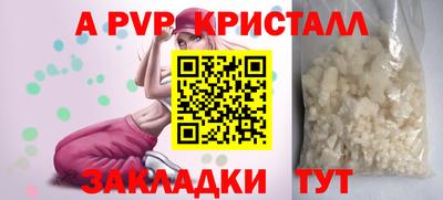 дмт Аргун