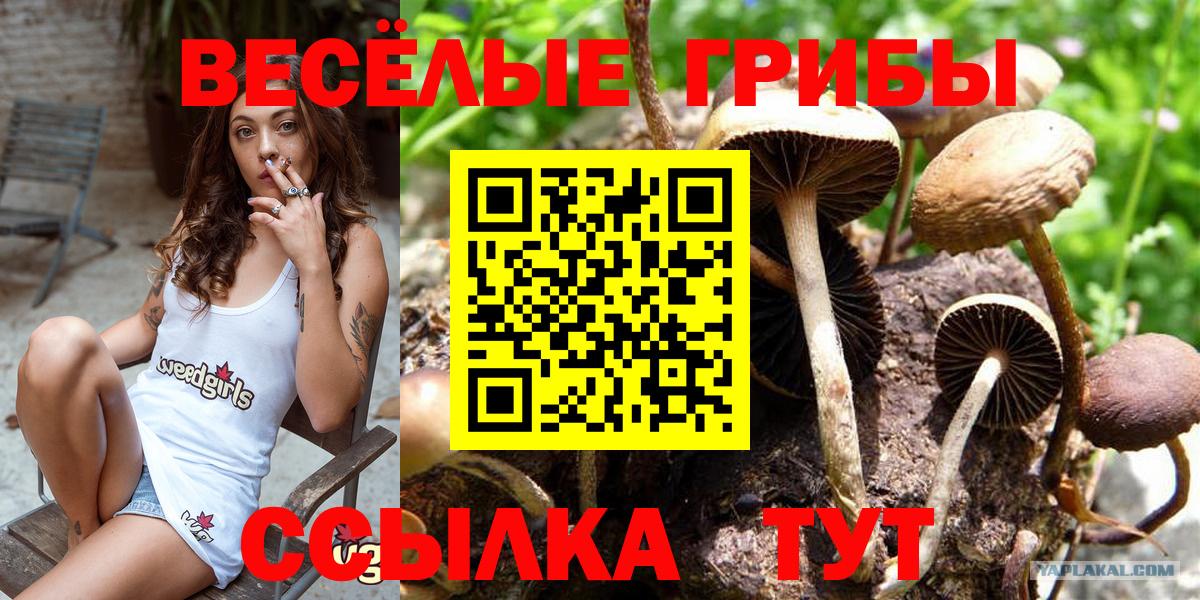 Балаково  Псилоцибиновые грибы мицелий  Галлюциногенные грибы ЛСД  Вход с VPN 
