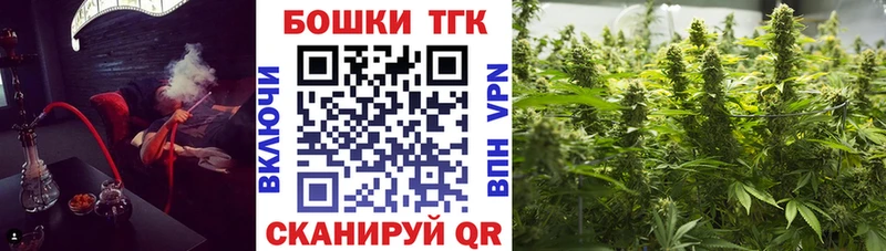 наркота Балаково Конопля сатива